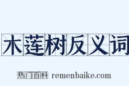 木莲树反义词是什么意思的图片